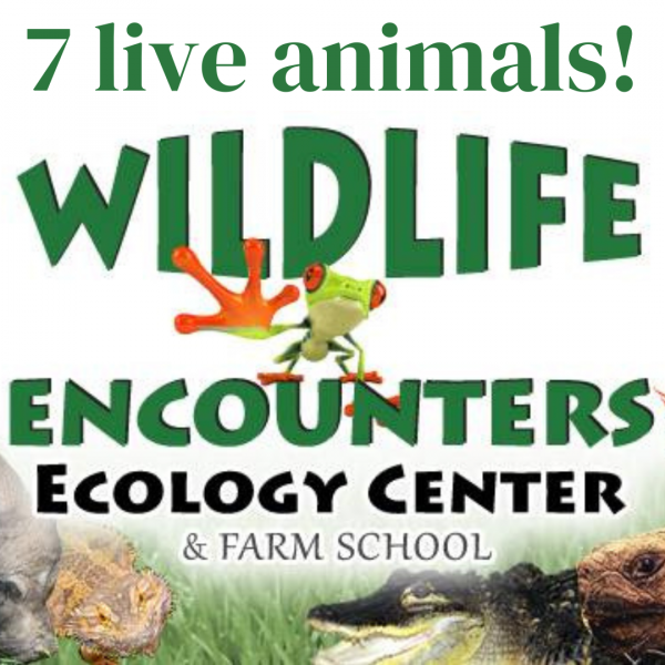 Image for event: Wildlife Encounters